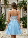Tulle A-Line Spaghetti Straps Mini Homecoming Dresses with Applique