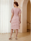 Chiffon Sheath Mother of the Bride Dresses with Lace Appliques