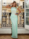 One Shoulder Tulle Mermaid Evening Dresses with Sequin