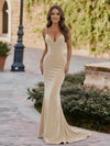 Spaghetti Straps Velvet V Neck Mermaid Formal Dresses
