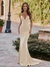 Spaghetti Straps Velvet V Neck Mermaid Formal Dresses