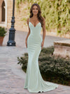 Spaghetti Straps Velvet V Neck Mermaid Formal Dresses