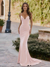 Spaghetti Straps Velvet V Neck Mermaid Formal Dresses
