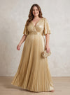 Chiffon A-Line V Neck Delicate Pleated Plus Size Formal Dresses