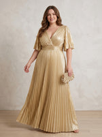 Chiffon A-Line V Neck Delicate Pleated Plus Size Formal Dresses