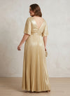 Chiffon A-Line V Neck Delicate Pleated Plus Size Formal Dresses