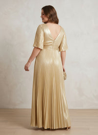 Chiffon A-Line V Neck Delicate Pleated Plus Size Formal Dresses