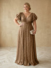 Sequin A-Line V Neck Delicate Pleated Plus Size Formal Dresses
