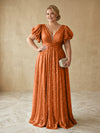 Sequin A-Line V Neck Delicate Pleated Plus Size Formal Dresses