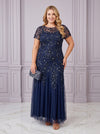Tulle A-Line Crew Neck Plus Size Formal Dresses with Sequin Embroidery