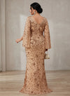 Chiffon Mermaid V Neck Plus Size Formal Dresses with Sequin Embroidery