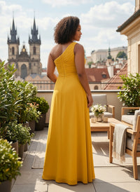 Chiffon A-Line One Shoulder Pleated Plus Size Formal Dresses