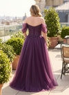 Tulle A-Line Off the Shoulder Plus Size Formal Dresses with Sequin Embroidery