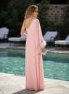 Chiffon Sheath One Shoulder Formal Dresses with Feathers