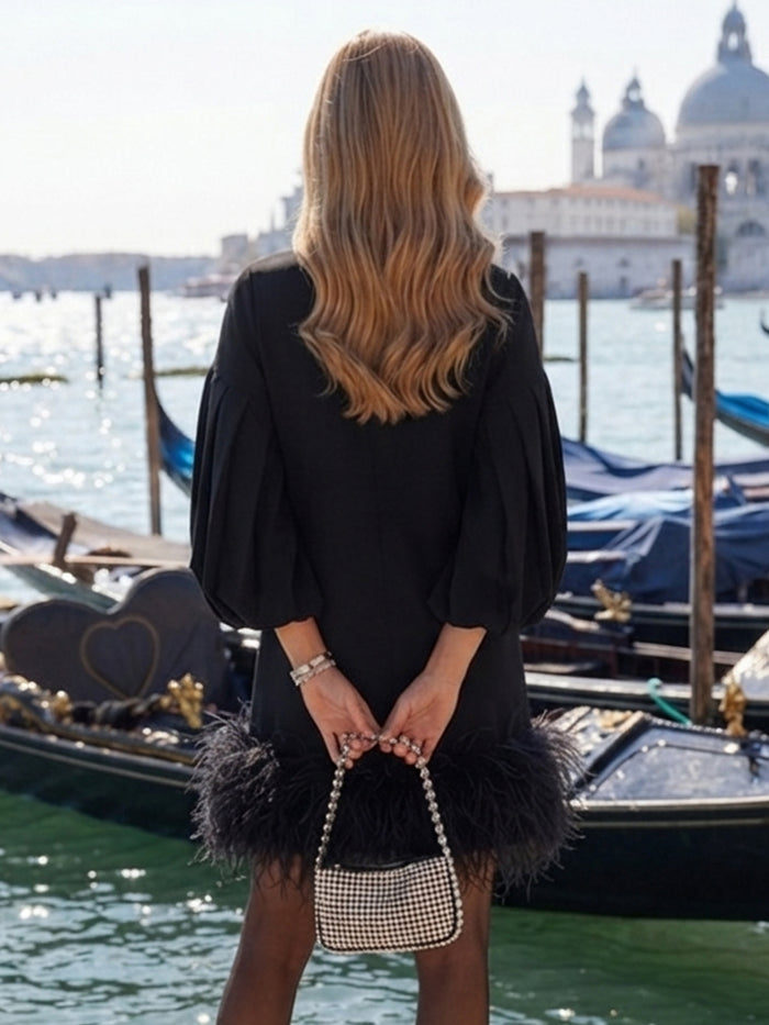 Chiffon A-Line Crew Neck Formal Dresses with Natural Feather Fringe Hem