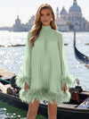 Chiffon A-Line High Neck Formal Dresses with Natural Feather Fringe Hem