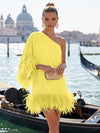 Jersey A-Line One Shoulder Formal Dresses with Natural Feather Fringe Hem