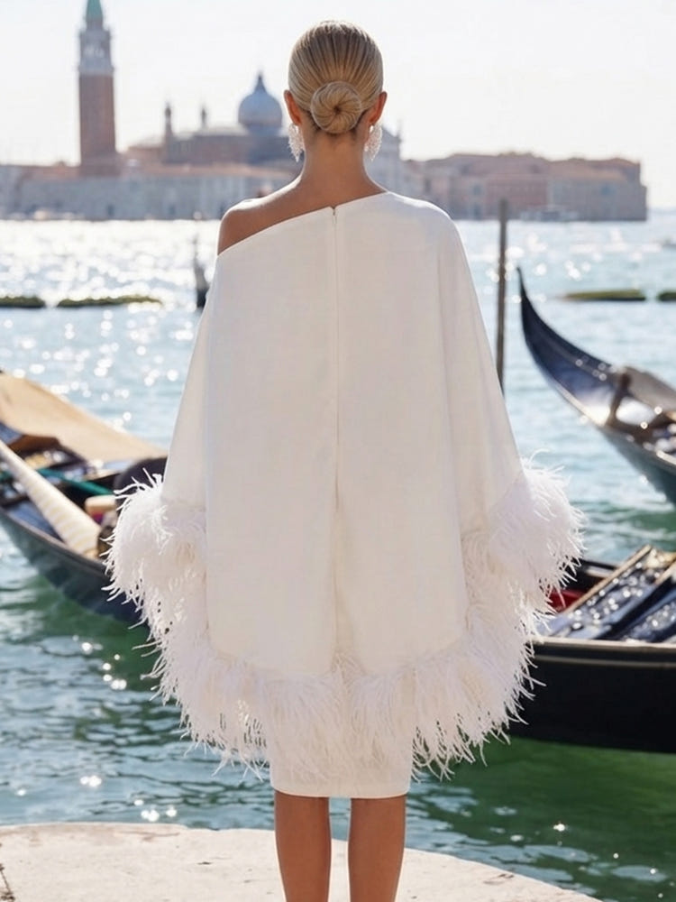 Chiffon Sheath One Shoulder Formal Dresses with Feathers