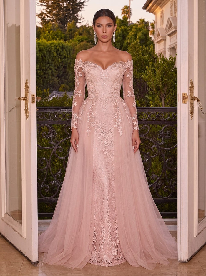 Tulle Mermaid Off Shoulder Evening Dresses with Lace Applique