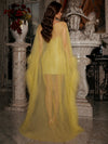 Tulle Sheath V Neck Evening Dresses with Sheer Chiffon Flowing Cape