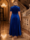 Velvet A-Line Stand Collar Maxi Evening Dresses with Pleated