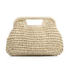 Women's  Straw Dumpling Beach Vacation Evening Handbag