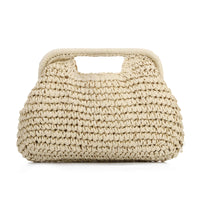 Women's  Straw Dumpling Beach Vacation Evening Handbag