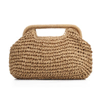 Women's  Straw Dumpling Beach Vacation Evening Handbag