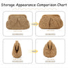 Summer Beach Straw Cloud Dumpling Woven Handbag for Women