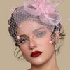 Vintage Birdcage Veil Fascinator Hat With Fabric Flower & Feather For Women Tea Party Wedding