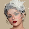 Vintage Birdcage Veil Fascinator Hat With Fabric Flower & Feather For Women Tea Party Wedding