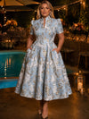 Jacquard A-Line Stand Colla Plus Size Dresses with Pleated