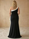 Jersey Mermaid One Shoulder Maxi Plus Size Dresses with Color Blocking